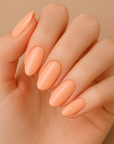 UC25 Nude Blush